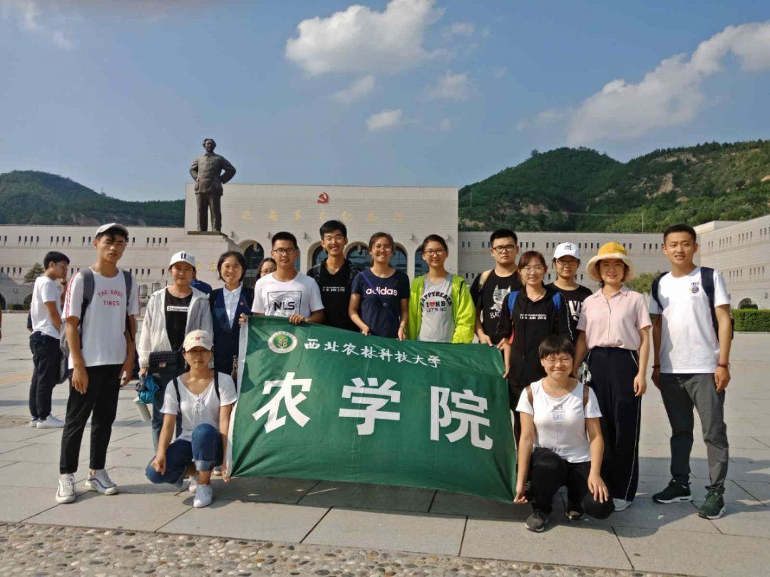 小腰带